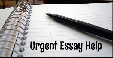 Custom essays essay help