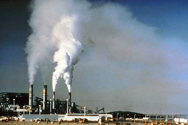 Smoke or dust in the air is a type of pollution as it is bad for.