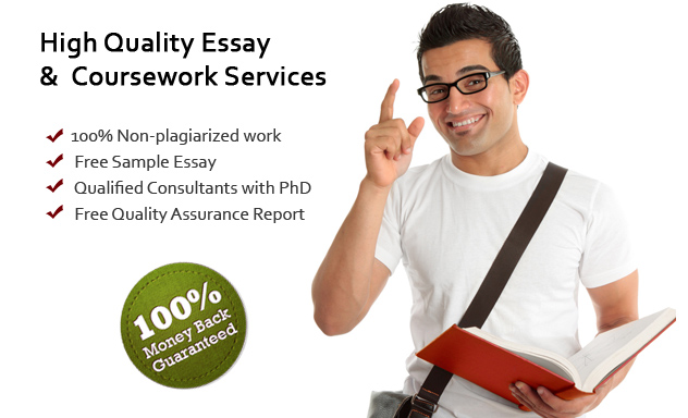 Online essay writing service